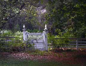 Elderfields_Gate_3772_copy.jpg