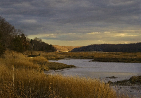 River Shore Winter