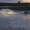 Night Reflections  - Nissequogue River