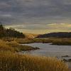 Winter Shore - Nissequogue