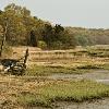 Old Dock  - Nissequogue River