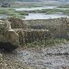 Low Tide  - Nissequogue River