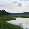 Summer Dock - Nissequogue River